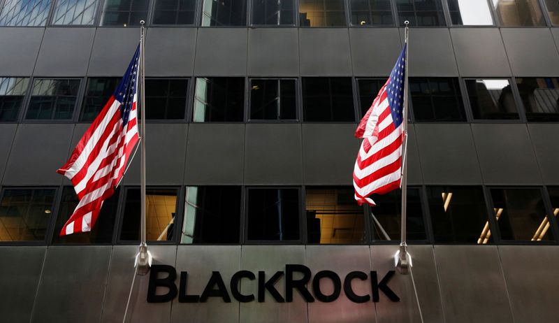 BlackRock says dipping toes back into Chinese equity market