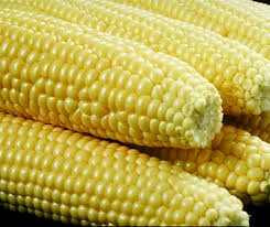 Iran bought 180,000 T corn, 29,000 T soybeans from South America
