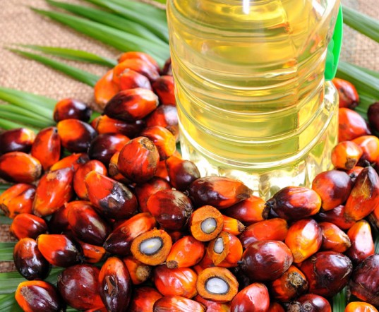 Palm oil may fall to 2,426 ringgit