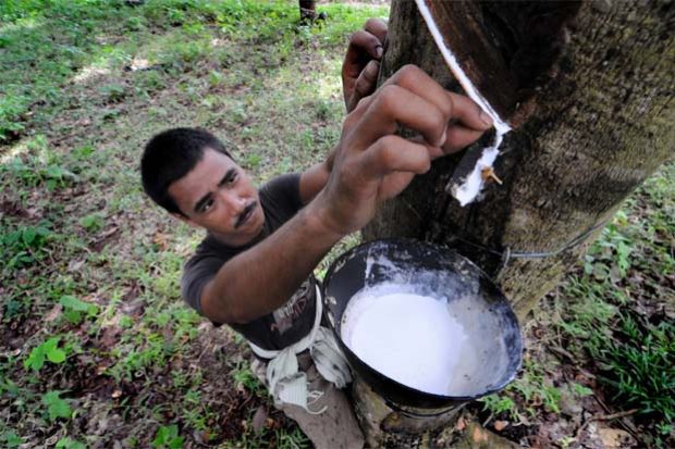 Floods hit rubber output in Kerala, M'sian exports may rise