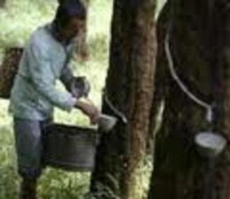 [Geojit Comtrade] Daily report on Natural Rubber: December 3, 2012