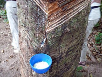 [Geojit Comtrade] Daily report on Natural Rubber: November 22, 2012
