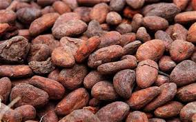 NY cocoa may retrace to ,259