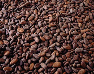 NY cocoa falls for 10th straight session; arabica firms