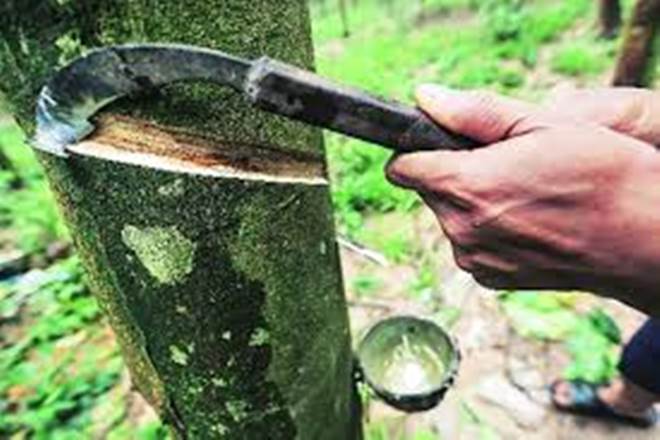 Recovery in natural rubber prices unlikely in 2019 due to demand-supply fundamental