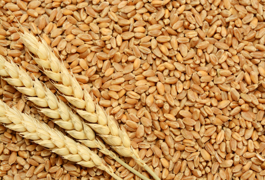 Taiwan buys 95,350 tonnes wheat from US in tender