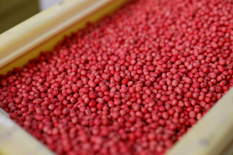 Trade off: China soybean imports set for biggest drop in 12 years amid tariff conflict