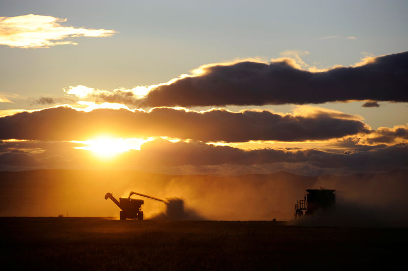 Trade retaliations against the U.S. hit Canada farmers, too
