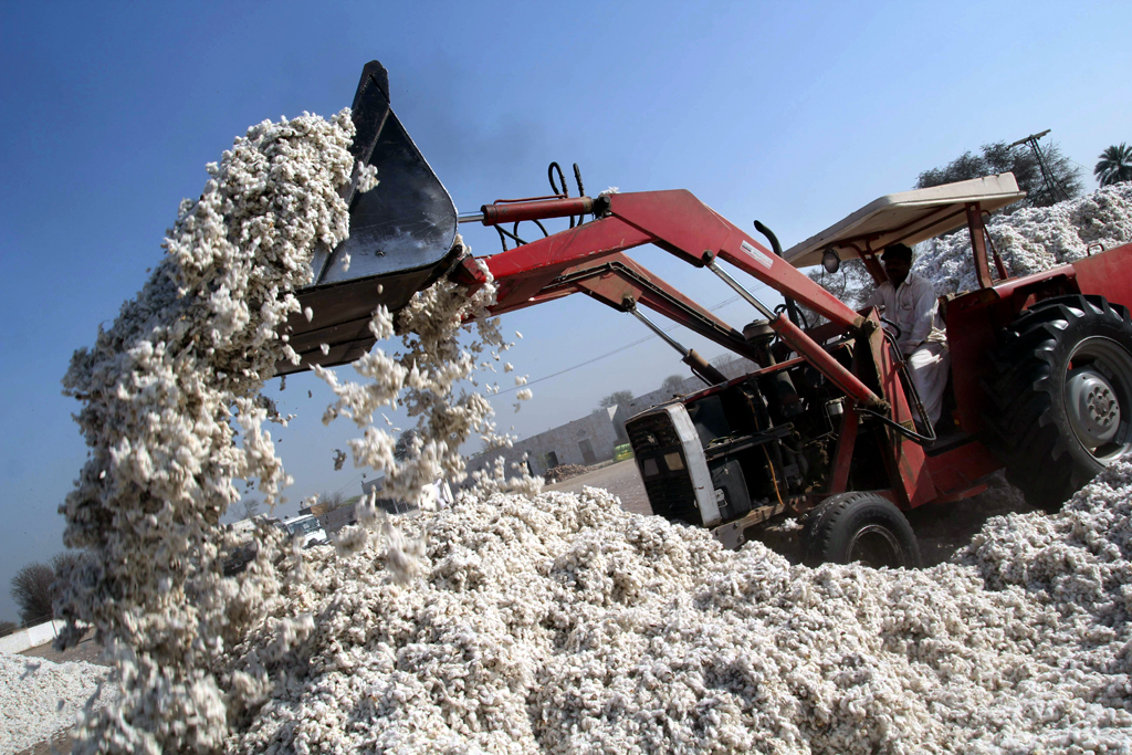 Weak monsoon delays cotton, soybean sowing in India