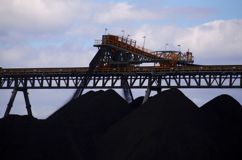 Ideology, not market, driving coal decisions -Australia resources minister