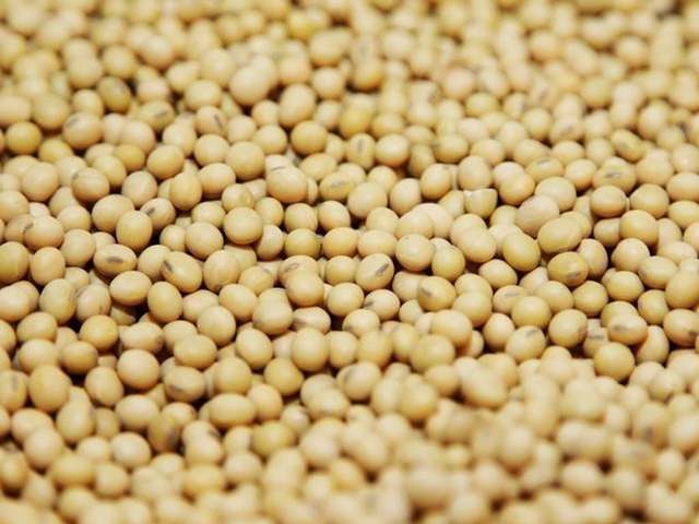 Soybeans hit 9-month low on big U.S. stocks, low Chinese buying