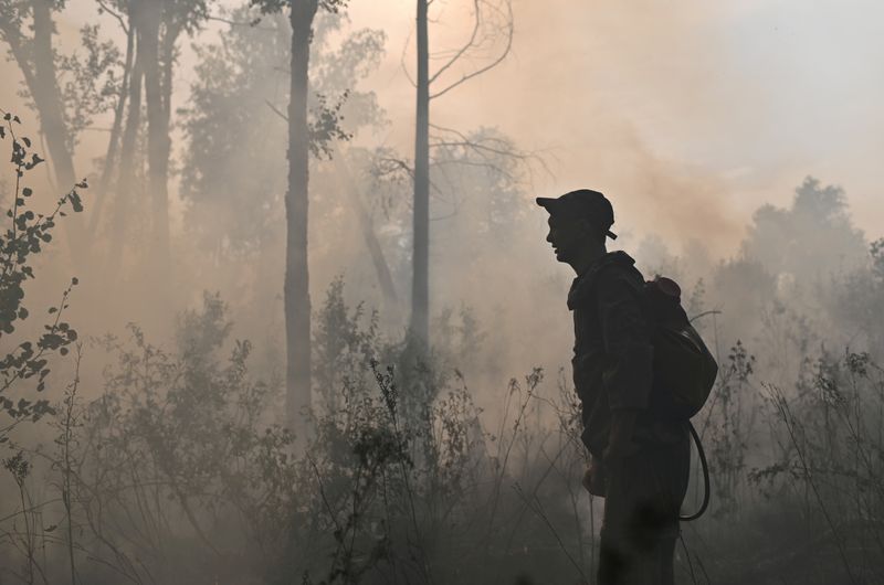 From Siberia to the U.S, wildfires broke emissions records this year