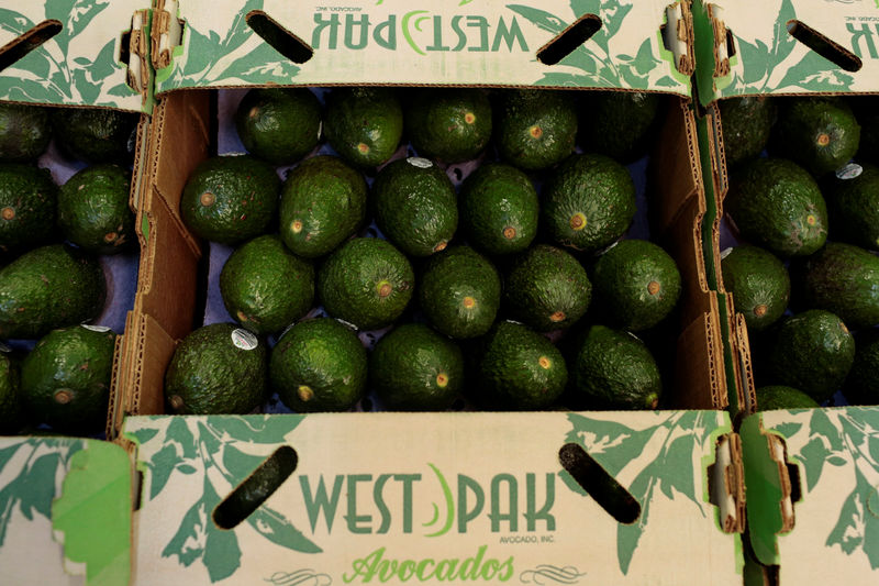 Avocados to Get Even More Expensive as U.S. Halts Imports Amid Threats