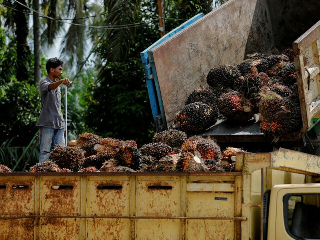 Indonesia’s palm oil export ban does not threaten EU supply