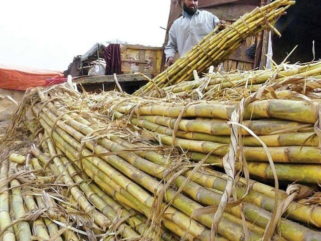Brazil’s sugarcane crushing beats