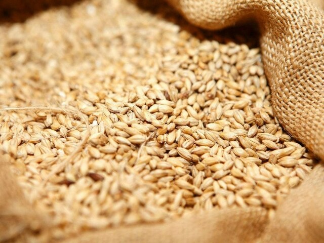 Punjab food dept seeks procurement of 1m tons of wheat from PASSCO