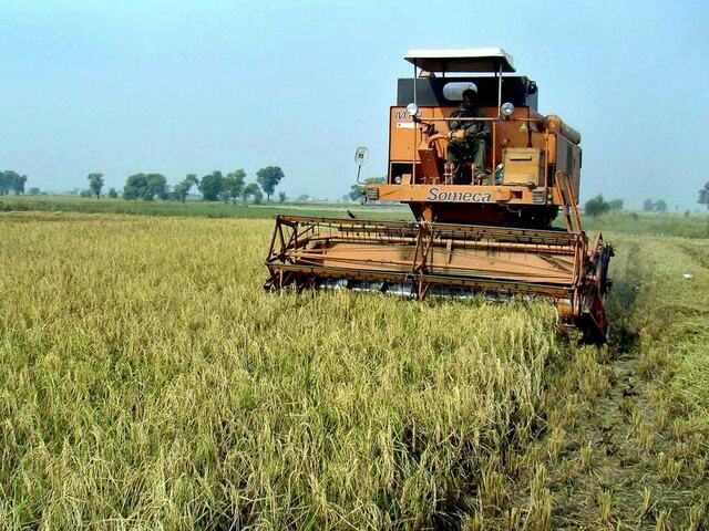 Agricultural inputs: High prices cause 45-65pc decline in crops’ output: AFP