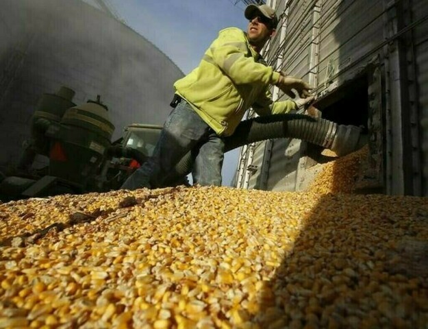 CBOT corn may fall into .97-1/2 to .06 range