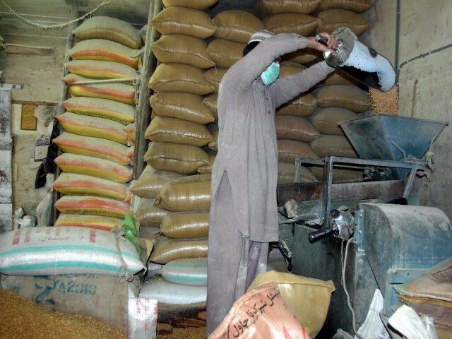India tightens flour exports after global wheat shortage