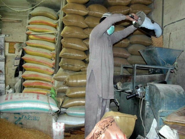 India wheat prices jump to record high, limit scope for govt-to-govt deals
