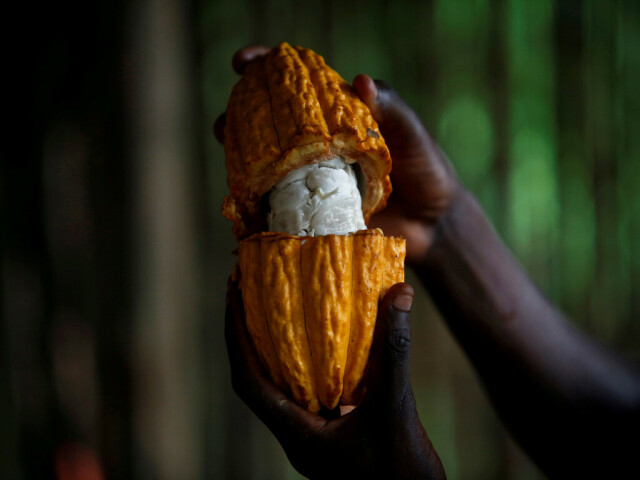 NY cocoa hits 1-1/2 year low; arabica coffee plumbs 8-month trough