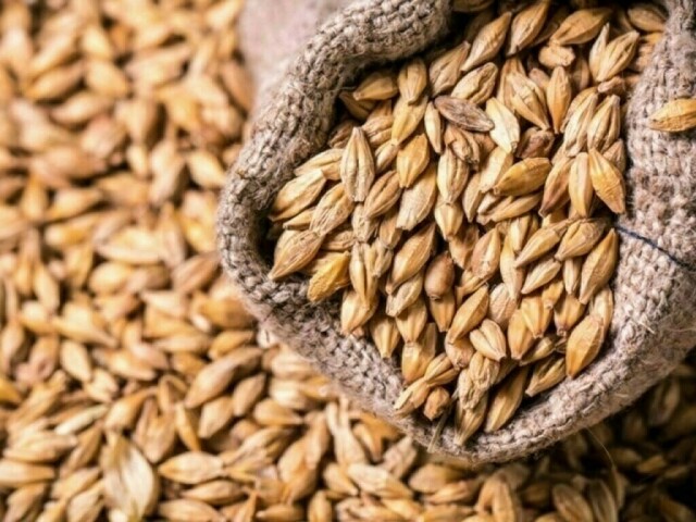 Pakistan gets offers in 200,000 tonne wheat tender