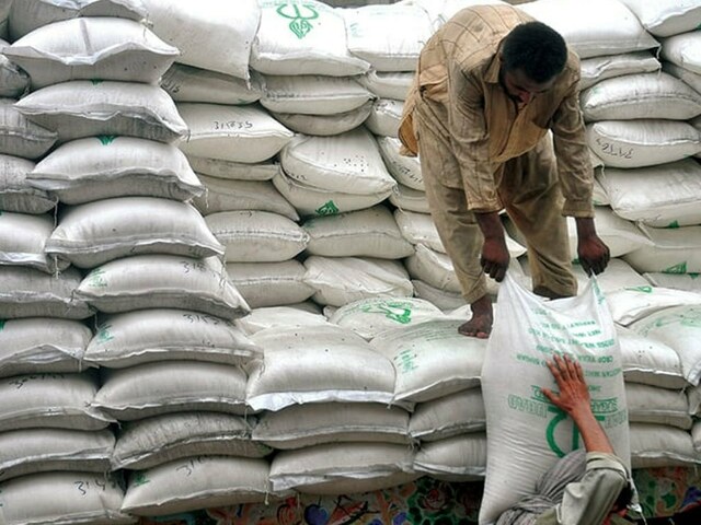 TCP receives eight bids for wheat import