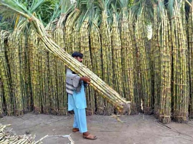 India raises cane price by 5.2%; mills demand hike in sugar rate