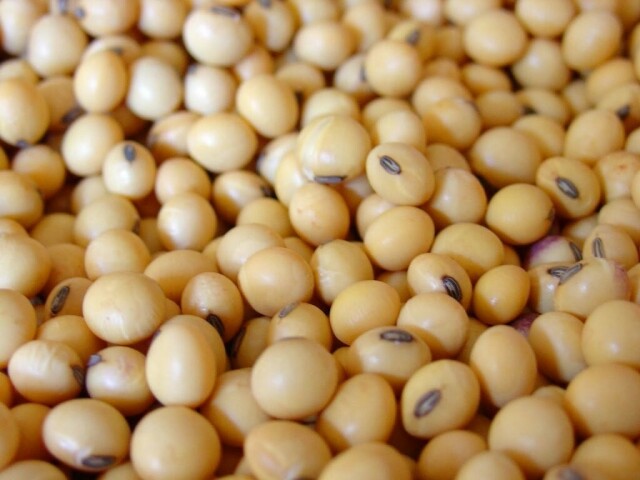 Soybeans near three-week low on supply outlook; wheat, corn slip