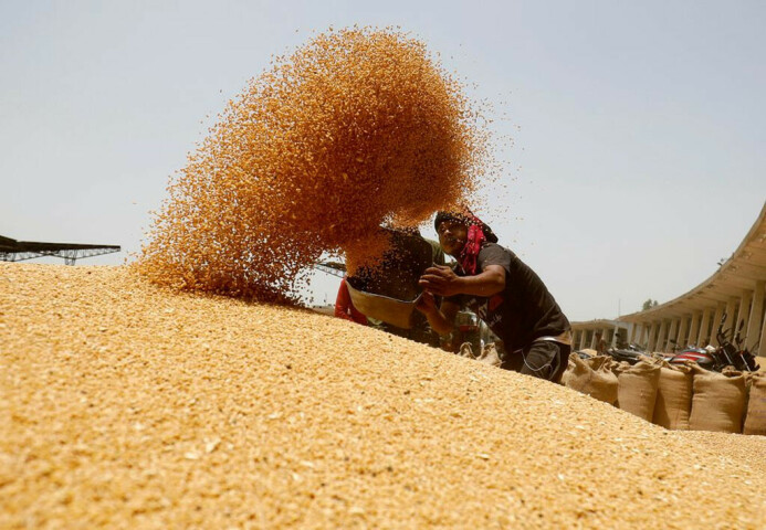 Pakistan said to buy 385,000 tonnes wheat in tender