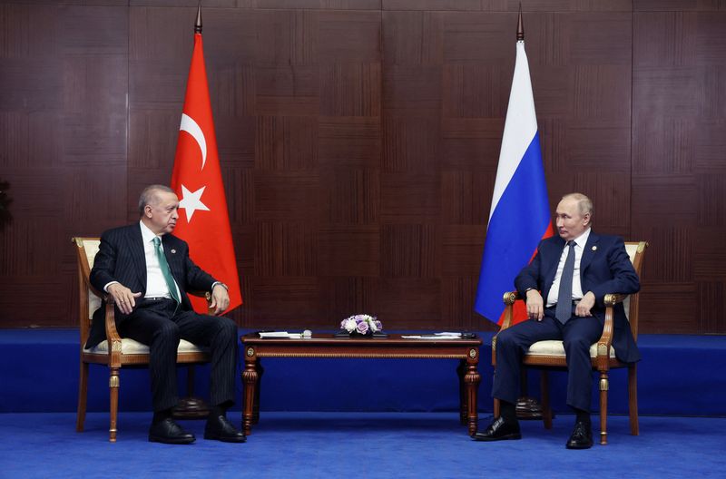 Putin courts Erdogan with plan to pump more Russian gas via Turkey