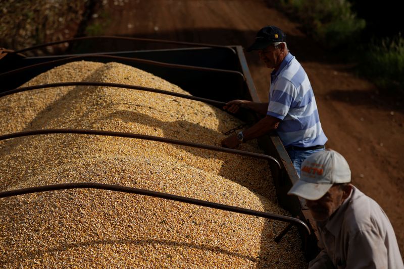 Brazil moves closer to China corn exports as Beijing approves traders