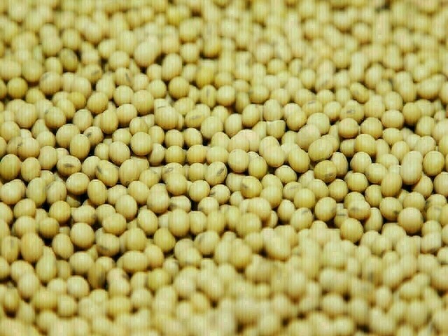 Chicago soybeans set for weekly gain on Chinese demand prospect