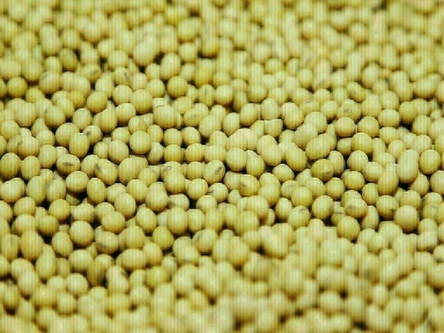 China’s November imports of soybean drop 14% on year