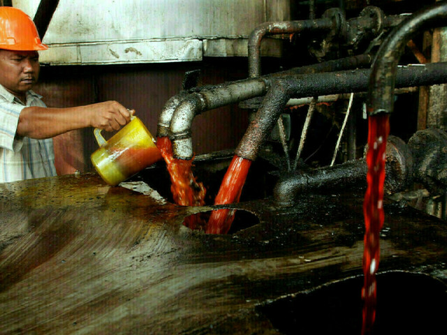 Malaysia keeps January crude palm oil export duty at 8%