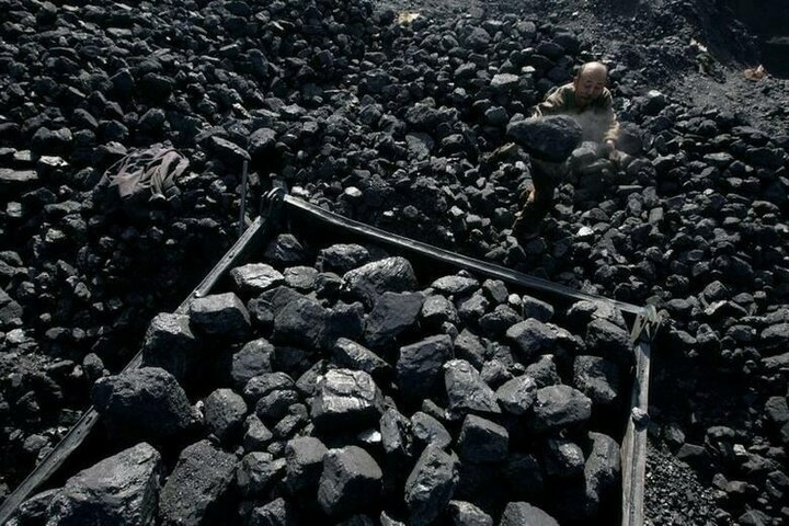 China allows four firms to resume Aussie coal imports