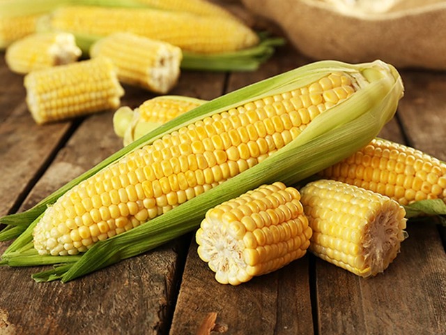 CBOT corn closes week higher, extends recovery from nine-month low