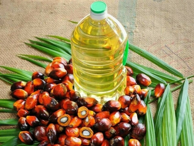Malaysia end-April palm oil stocks shrink to 11-month low on plunging output