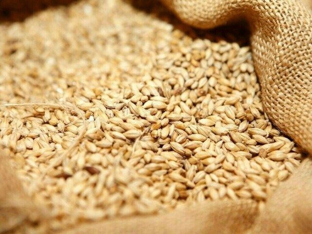 Russian wheat reaches Karachi port