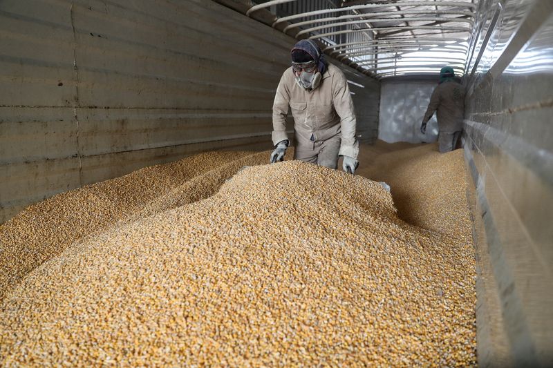 US to escalate claim that Mexico corn policy violates trade pact -Bloomberg News