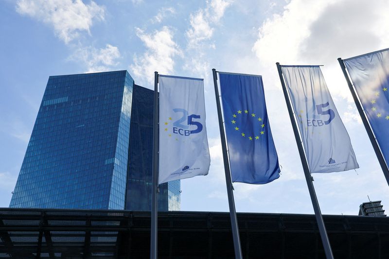 Euro zone banks face new slate of risks, supervisor warns