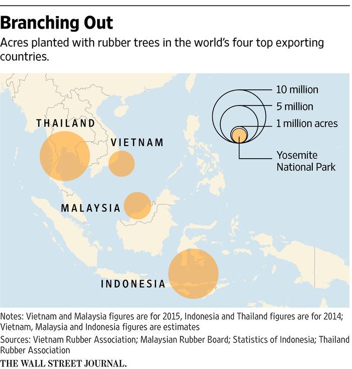 As Rubber Prices Slump, Big Players Stretch Out in Southeast Asia