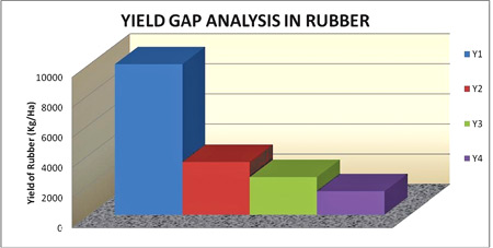 SriLanka: Growing rubber in non-traditional areas and scope of further expansion