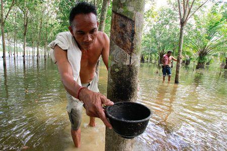 Thai floods harm key region for world