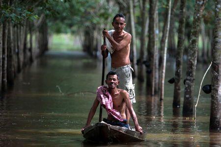 Thai floods harm key region for world