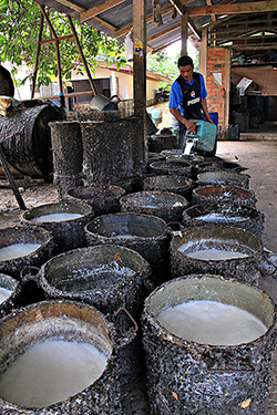 Thailand: Rubber farmers agree to drop protest amid industry reforms